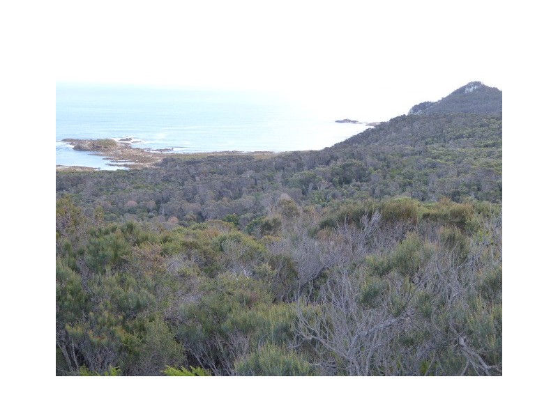 Lots 10 and 12 West End Road, Leeka TAS 7255