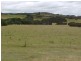1563 Lady Barron Road, Ranga, Flinders Island TAS 7255