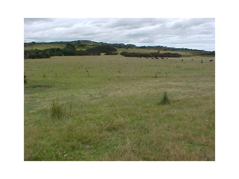 1563 Lady Barron Road, Ranga, Flinders Island TAS 7255