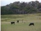 1563 Lady Barron Road, Ranga, Flinders Island TAS 7255