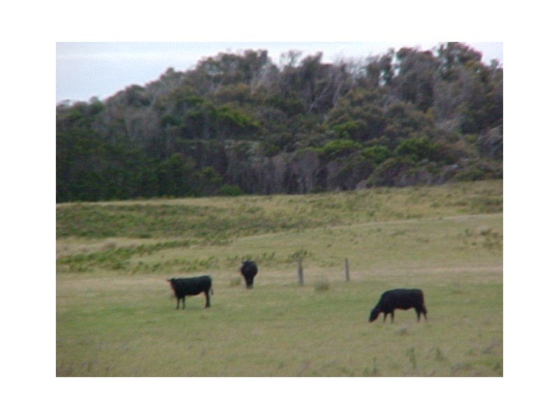 1563 Lady Barron Road, Ranga, Flinders Island TAS 7255