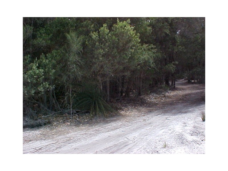 Lot 13 Killiecrankie Road, Flinders Island TAS 7255
