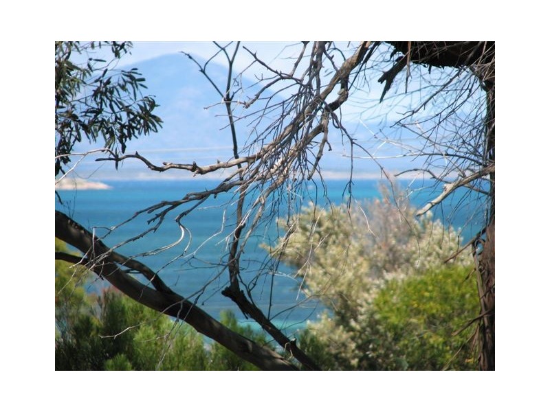 2 Gunter Street, Lady Barron, Flinders Island TAS 7255