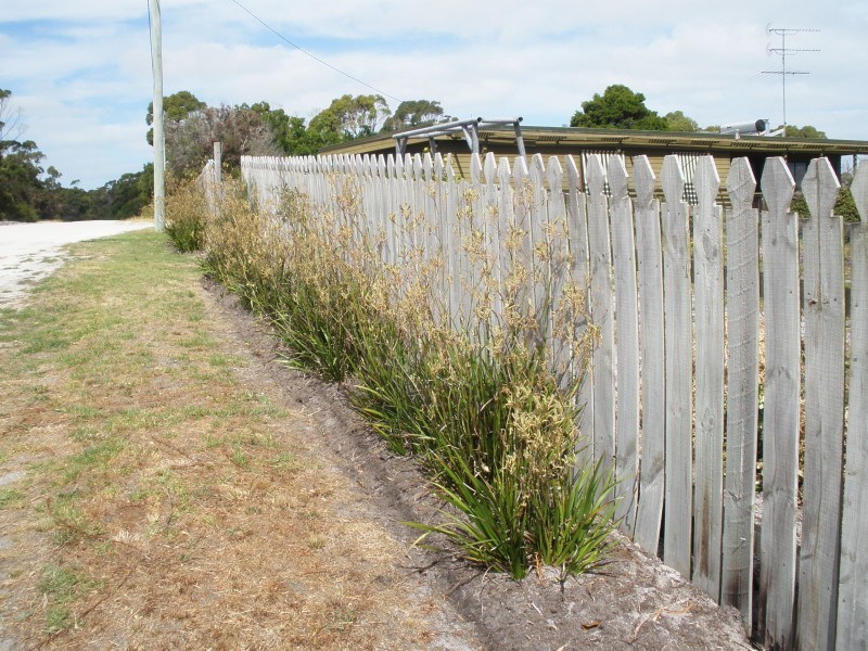 2 Gunter Street, Lady Barron, Flinders Island TAS 7255