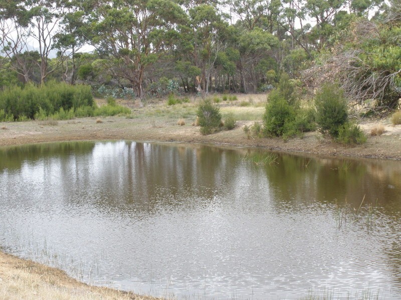 Lot 35313 Memana Road, Flinders Island TAS 7255