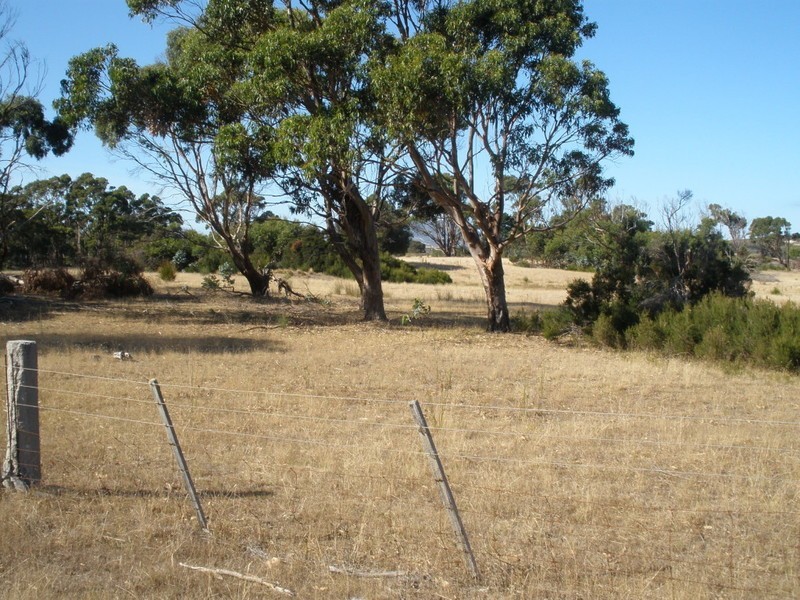 Lot 35313 Memana Road, Flinders Island TAS 7255