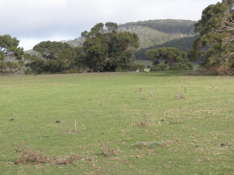 60 Kuhns Road, Flinders Island TAS 7255