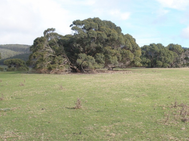 60 Kuhns Road, Flinders Island TAS 7255