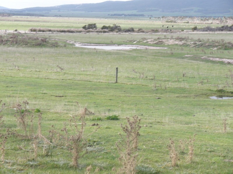 60 Kuhns Road, Flinders Island TAS 7255