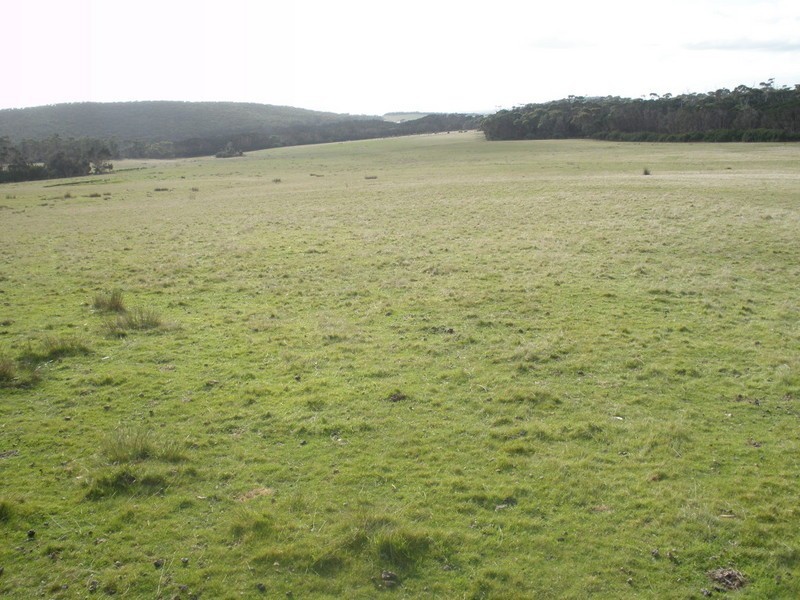 60 Kuhns Road, Flinders Island TAS 7255