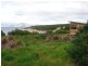 . Little Dog Island, Flinders Island TAS 7255
