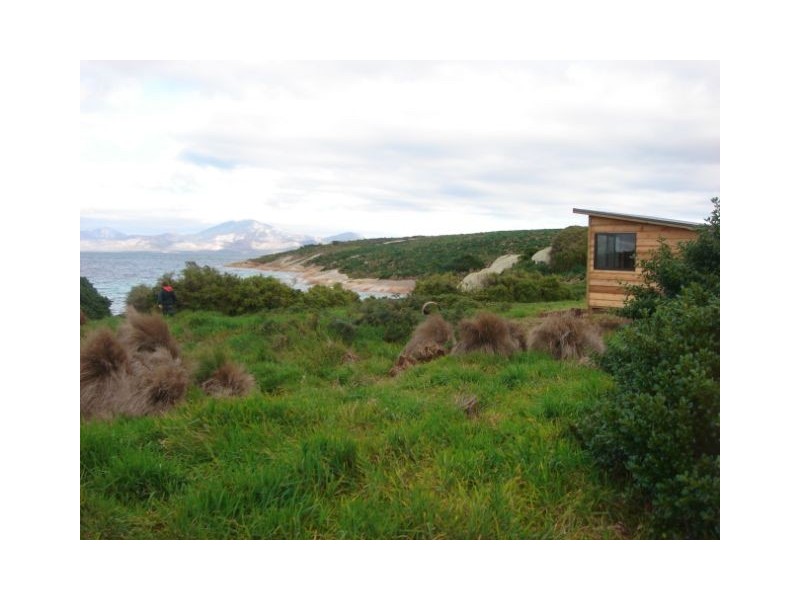 . Little Dog Island, Flinders Island TAS 7255