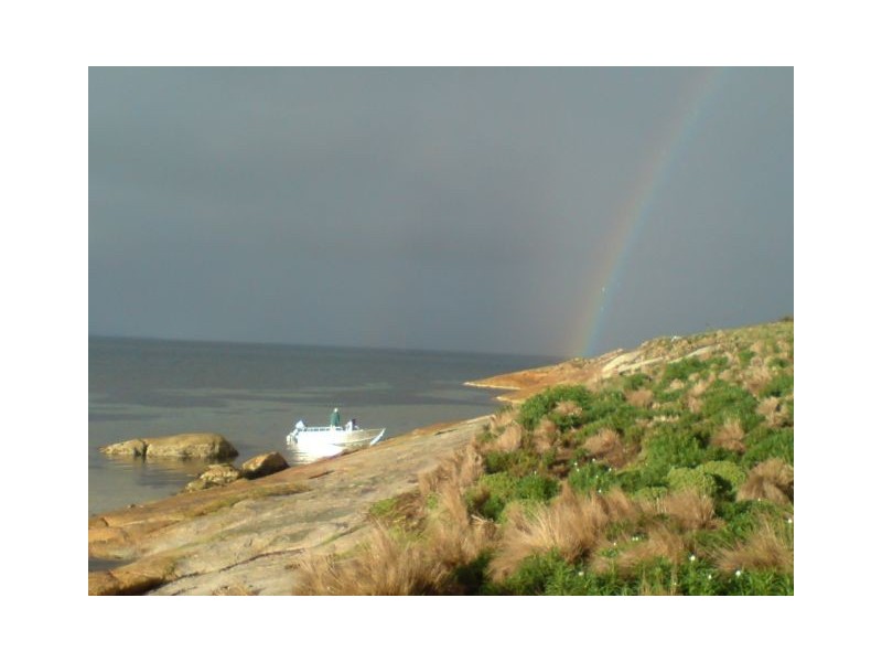 . Little Dog Island, Flinders Island TAS 7255