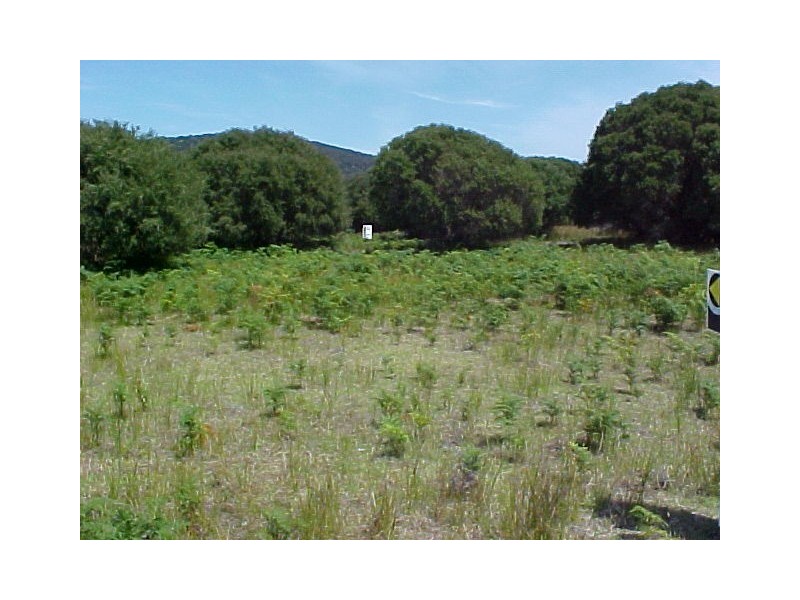 Lots 1 and 2 Edens Road, Palana, Flinders Island TAS 7255