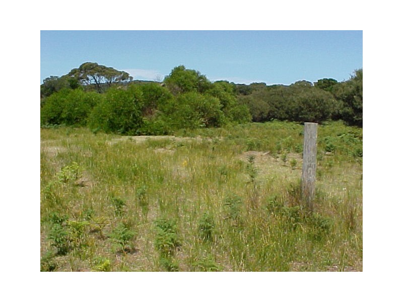 Lots 1 and 2 Edens Road, Palana, Flinders Island TAS 7255
