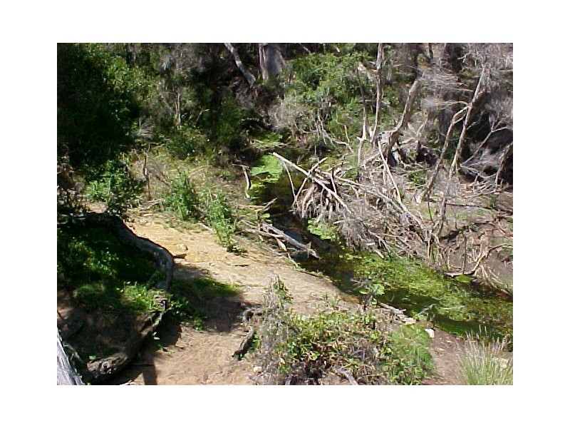 Lots 1 and 2 Edens Road, Palana, Flinders Island TAS 7255