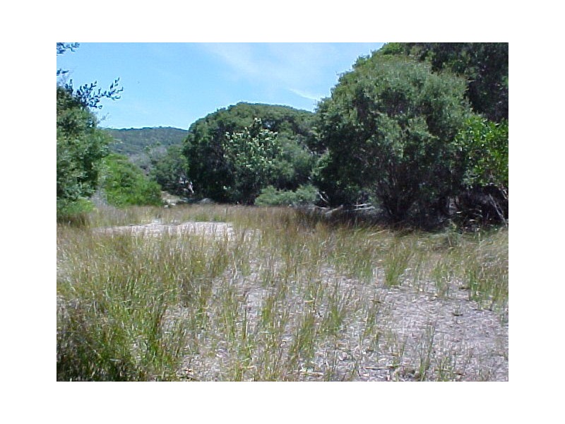Lot 3 Edens Road, Palana, Flinders Island TAS 7255