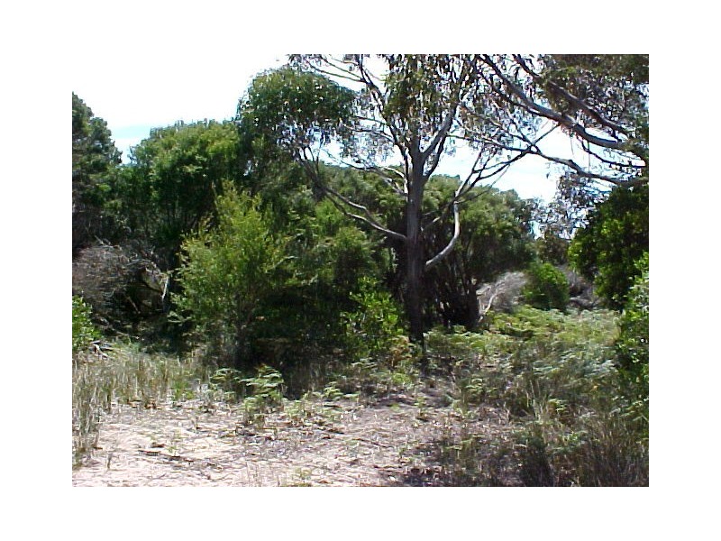 Lot 3 Edens Road, Palana, Flinders Island TAS 7255