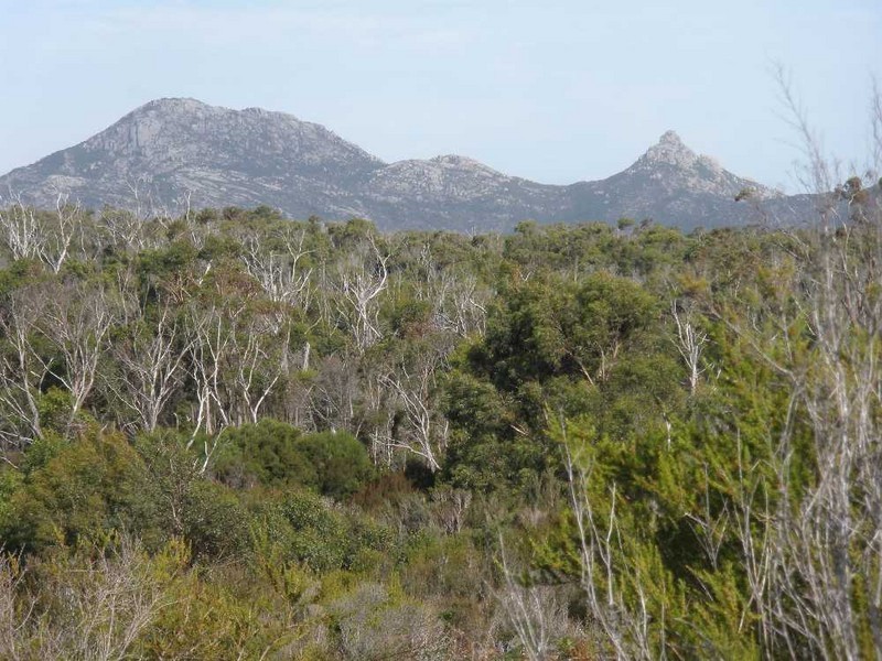 Lot 1 Memana Road, Whitemark TAS 7255