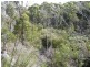Lot 1 Memana Road, Whitemark TAS 7255