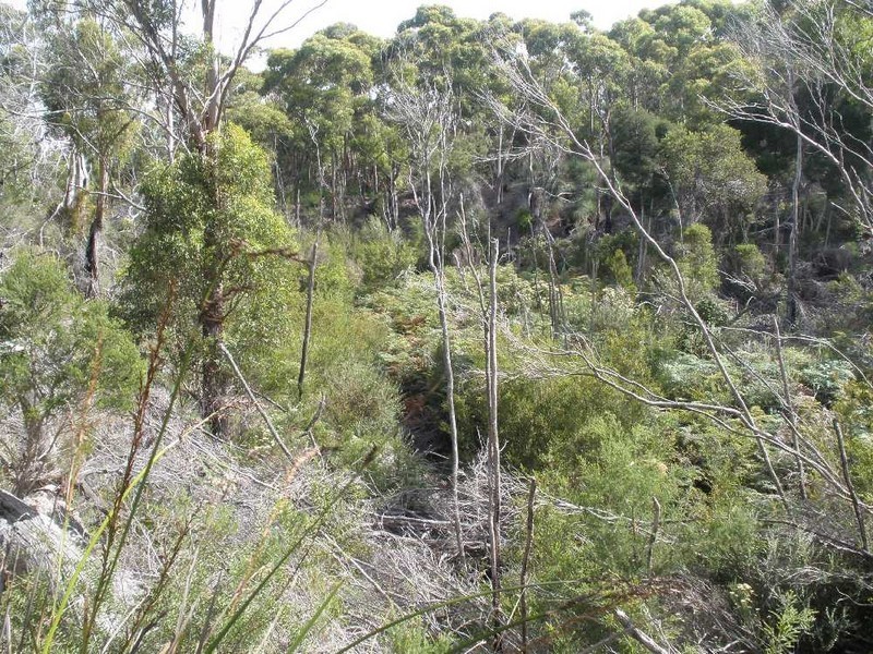 Lot 1 Memana Road, Whitemark TAS 7255