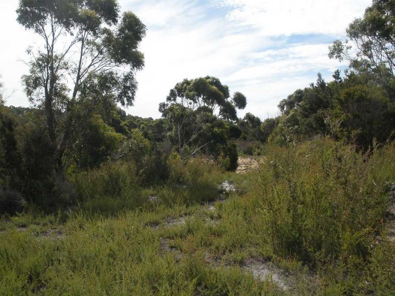 Lot 1 Memana Road, Whitemark TAS 7255