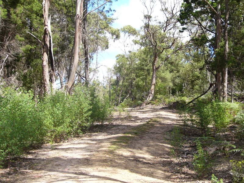 2949 Palana Road, Flinders Island TAS 7255