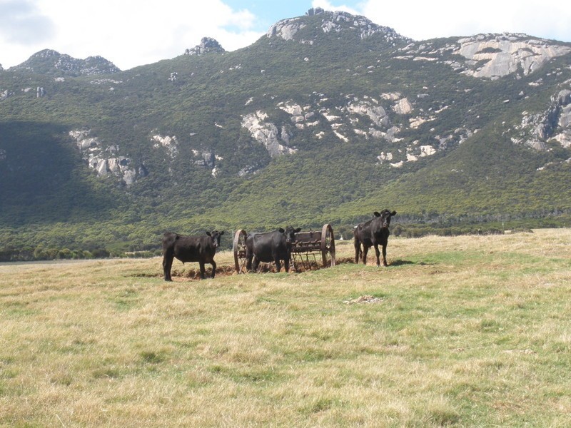 Lot 1 Trousers Point Road, Flinders Island TAS 7255