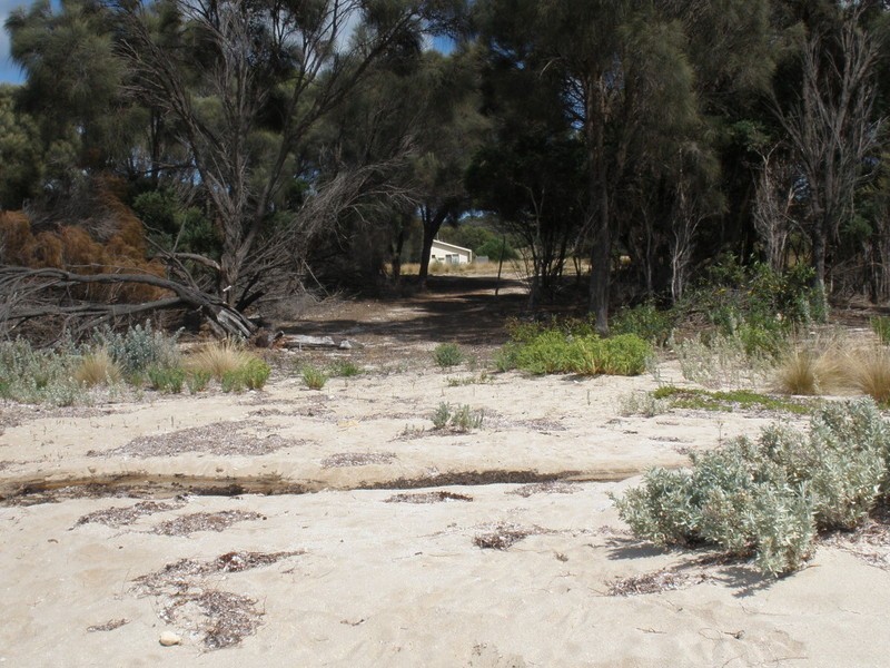 565 West End Road, Flinders Island TAS 7255