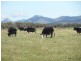 2261 Memana Road, Memana, Flinders Island TAS 7255