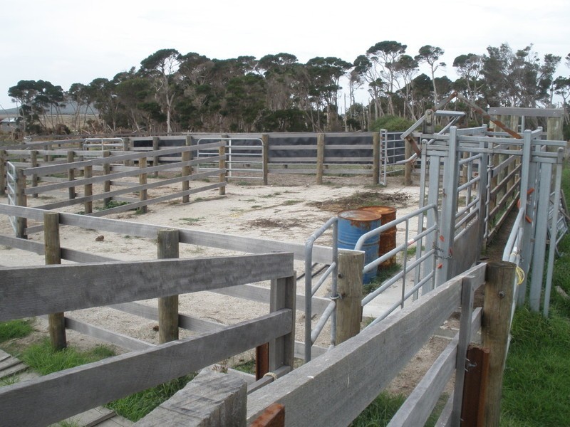 2261 Memana Road, Memana, Flinders Island TAS 7255