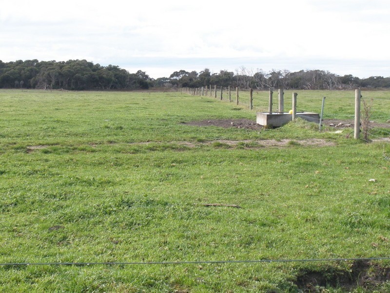 2261 Memana Road, Memana, Flinders Island TAS 7255