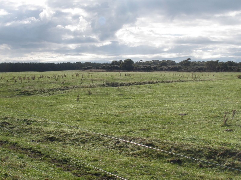 2261 Memana Road, Memana, Flinders Island TAS 7255