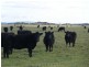 2261 Memana Road, Memana, Flinders Island TAS 7255