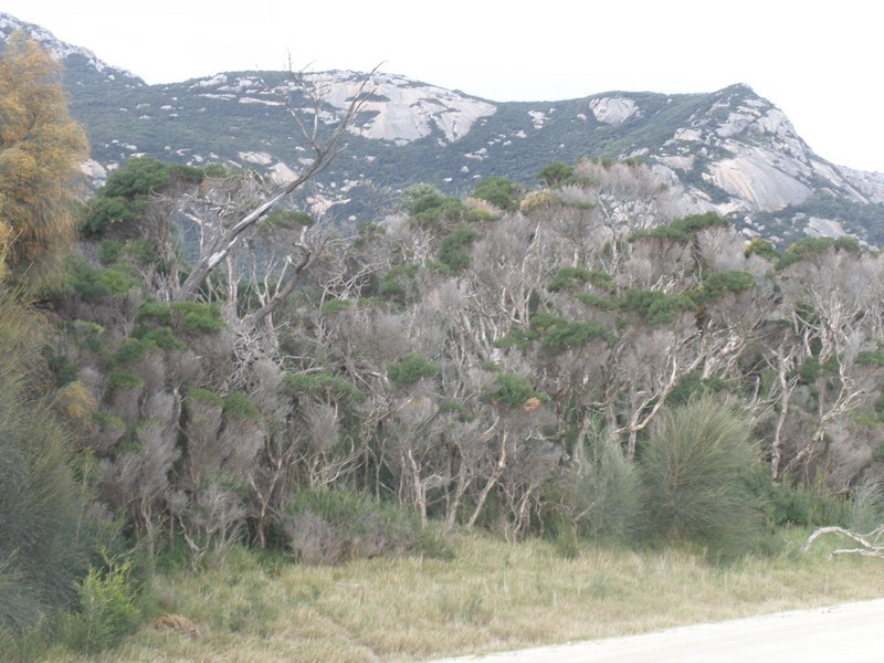 210023/1 Trousers Point Road, Flinders Island TAS 7255