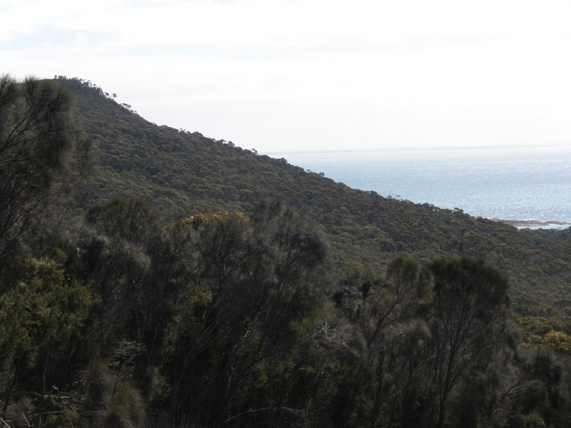 2186638 Boat Harbour Road, Killiecrankie, Flinders Island TAS 7255