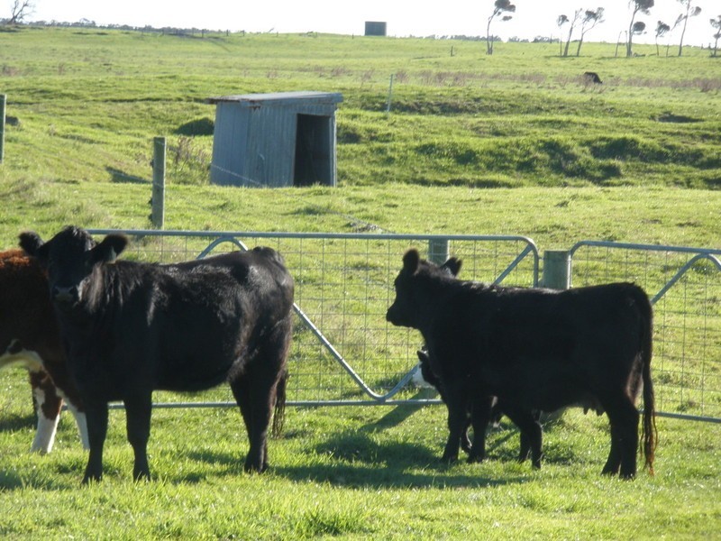 Lot 84 Memana, Flinders Island TAS 7255