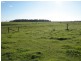 Lot 84 Memana, Flinders Island TAS 7255