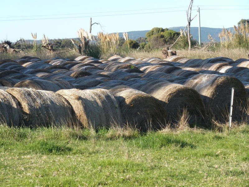 Lot 84 Memana, Flinders Island TAS 7255