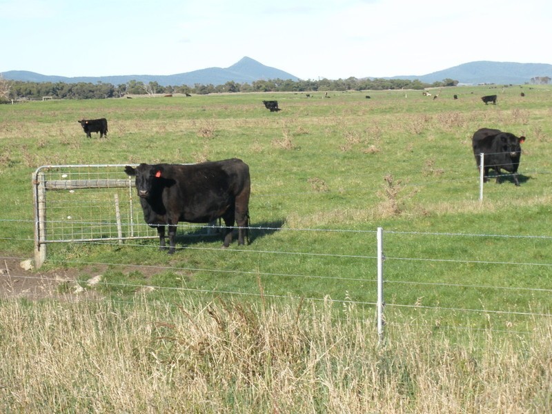 Lot 84 Memana, Flinders Island TAS 7255