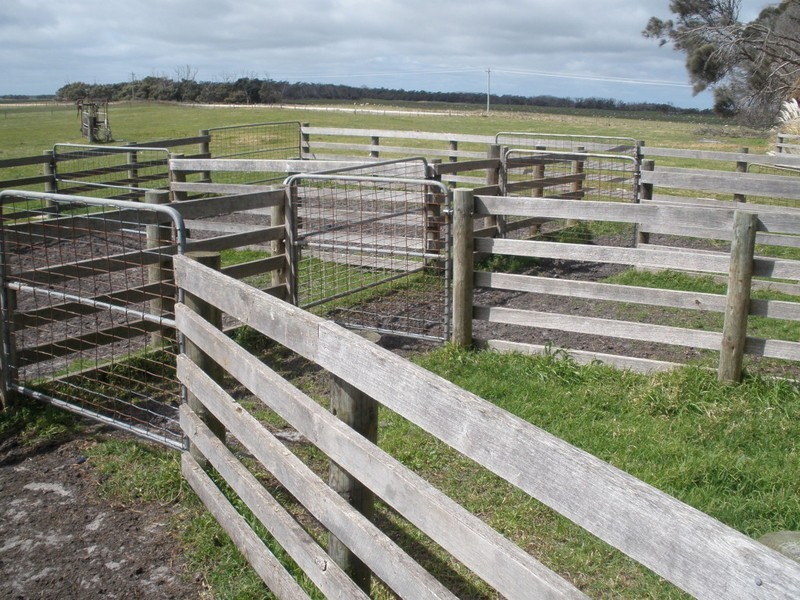 Lot 84 Memana, Flinders Island TAS 7255