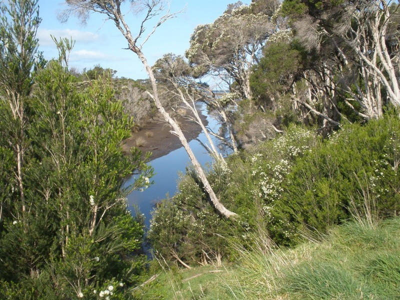 31 Badger Corner Road, Flinders Island TAS 7255