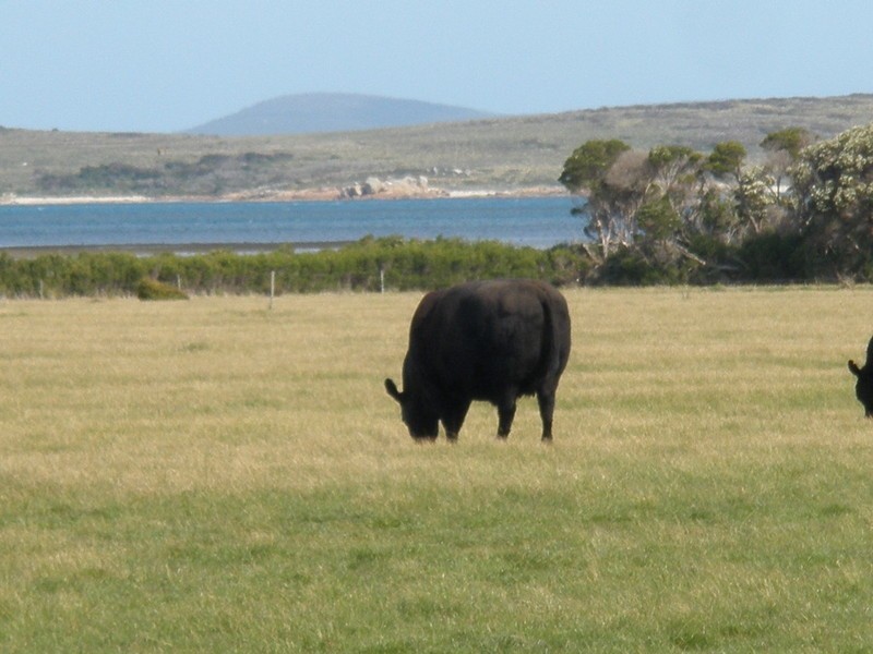 31 Badger Corner Road, Flinders Island TAS 7255