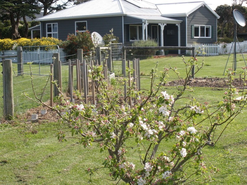 31 Badger Corner Road, Flinders Island TAS 7255