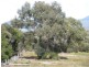 Lot 22 Moonbird Street, Lady Barron, Flinders Island TAS 7255