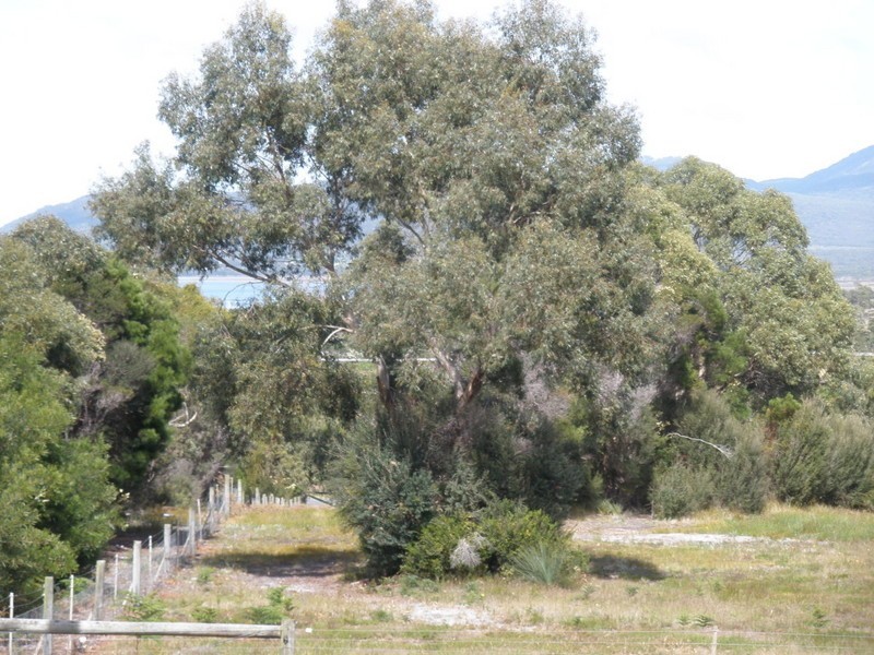 Lot 22 Moonbird Street, Lady Barron, Flinders Island TAS 7255