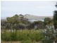 Lot 7 Holloway Street, Lady Barron TAS 7255