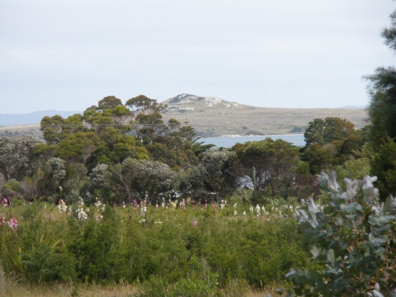 Lot 7 Holloway Street, Lady Barron TAS 7255