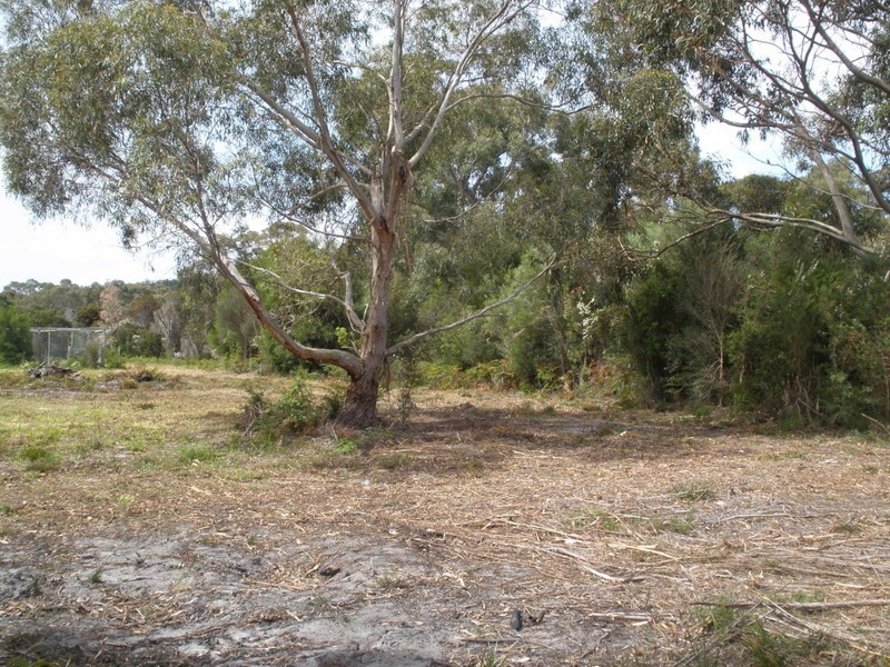 Lot 7 Holloway Street, Lady Barron TAS 7255