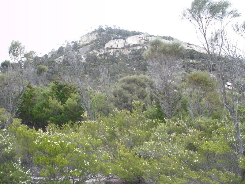 Lot 20 Armstrong Avenue, Killiecrankie, Flinders Island TAS 7255